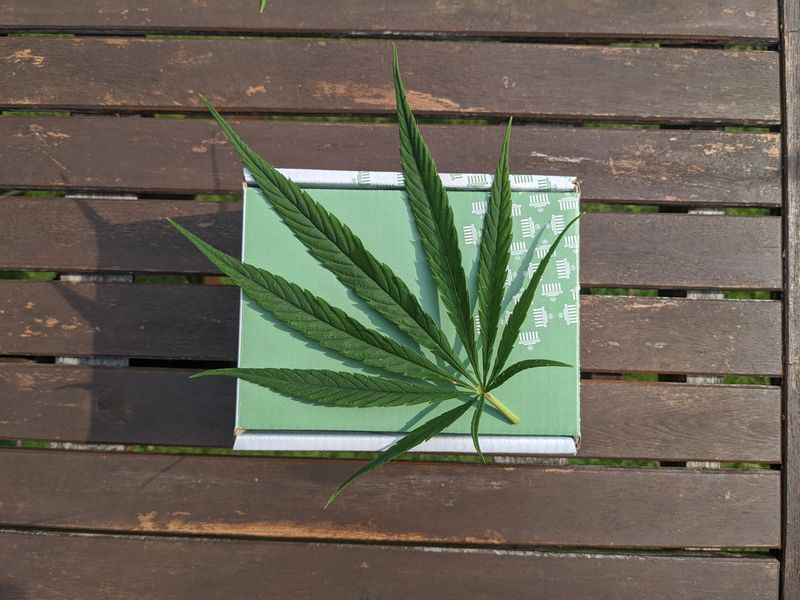 Top Reasons To Choose Custom CBD Boxes  For Your CBD Packaging