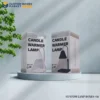 Customized-Lamp-Box-Packaging