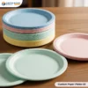 Custom Printed Paper Plates (3)
