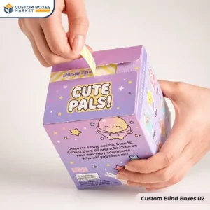 custom blind boxes design (2)